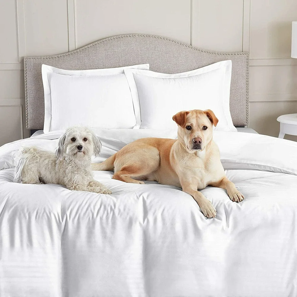 Nestl Bedding Duvet Cover 3 Piece Set Ultra Soft Double Brushed Microfiber QUEEN
